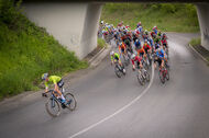 Course de la Paix Juniors / Závod míru juniorů 2025